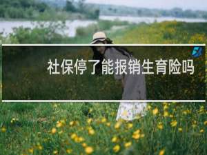 社保停了能报销生育险吗