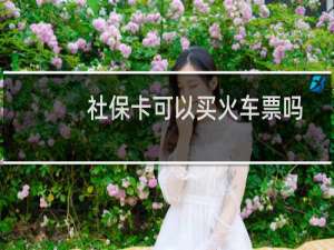 社保卡可以买火车票吗