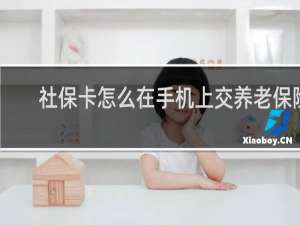 社保卡怎么在手机上交养老保险