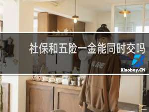 社保和五险一金能同时交吗
