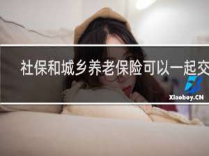 社保和城乡养老保险可以一起交吗