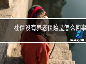 社保没有养老保险是怎么回事