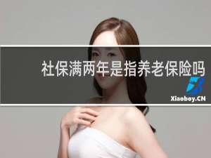 社保满两年是指养老保险吗