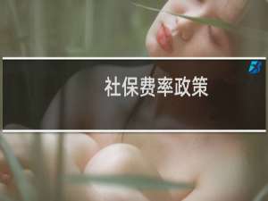 社保费率政策（社保费率再调整）