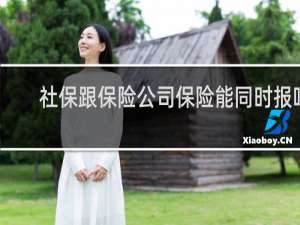 社保跟保险公司保险能同时报吗