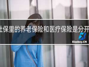 社保里的养老保险和医疗保险是分开交的吗