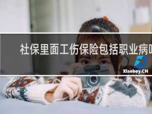 社保里面工伤保险包括职业病吗