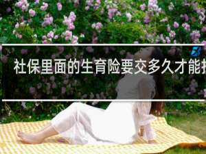 社保里面的生育险要交多久才能报销