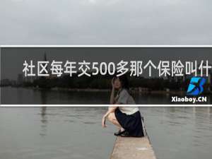 社区每年交500多那个保险叫什么