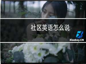 社区英语怎么说