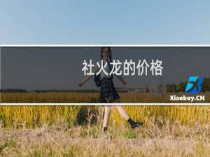 社火龙的价格