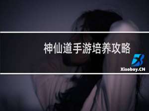 神仙道手游培养攻略