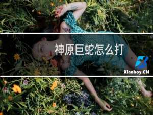 神原巨蛇怎么打