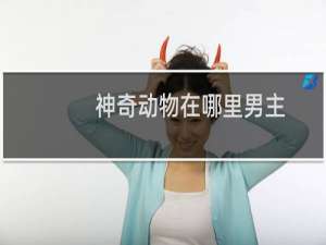 神奇动物在哪里男主