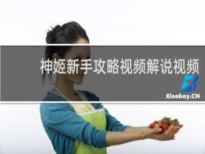 神姬新手攻略视频解说视频
