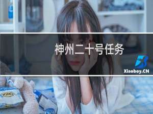 神州二十号任务