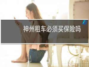 神州租车必须买保险吗