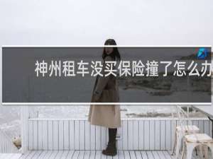 神州租车没买保险撞了怎么办