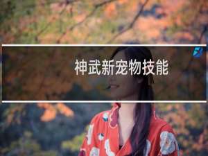 神武新宠物技能