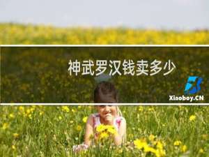 神武罗汉钱卖多少