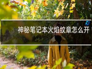 神秘笔记本火焰纹章怎么开