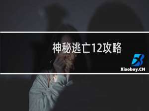 神秘逃亡12攻略