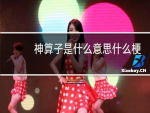 神算子是什么意思什么梗