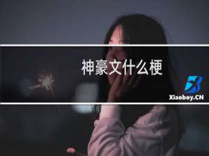 神豪文什么梗