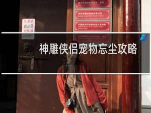 神雕侠侣宠物忘尘攻略