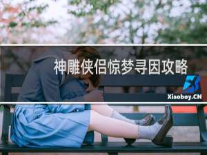 神雕侠侣惊梦寻因攻略