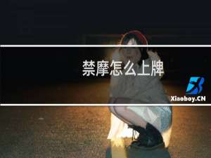 禁摩怎么上牌