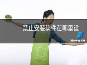 禁止安装软件在哪里设置（禁止安装软件）