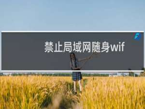 禁止局域网随身wif、禁止局域网安装无线路由、禁止员工无线上网