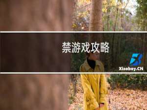 禁游戏攻略