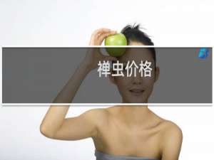 禅虫价格