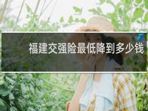 福建交强险最低降到多少钱