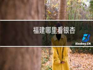 福建哪里看银杏