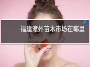福建漳州苗木市场在哪里