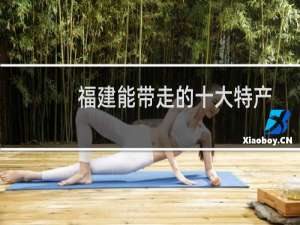 福建能带走的十大特产