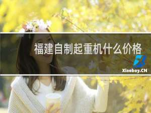 福建自制起重机什么价格