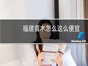 福建苗木怎么这么便宜