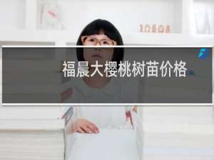 福晨大樱桃树苗价格