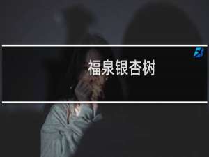 福泉银杏树