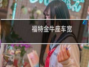 福特金牛座车宽