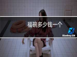 福碗多少钱一个