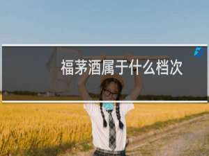 福茅酒属于什么档次