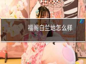 福阁白兰地怎么样