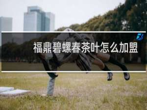 福鼎碧螺春茶叶怎么加盟