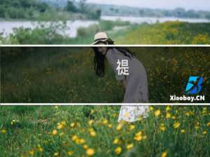 禔