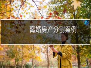 离婚房产分割案例